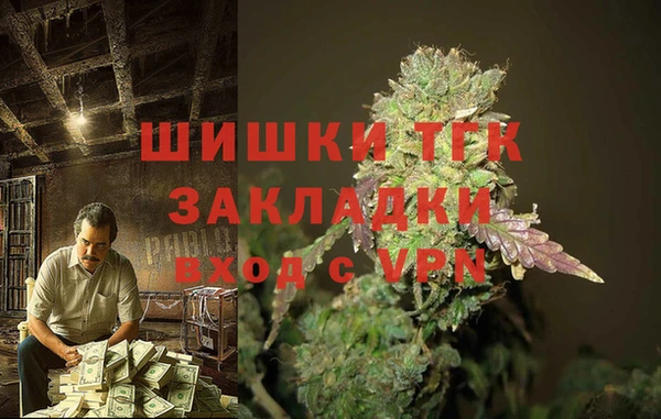шишки Алексин