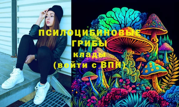шишки Алексин