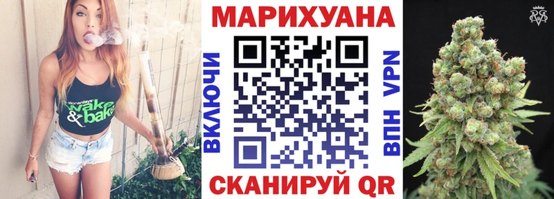 Купить закладки  Киселёвск  Бошки марихуана конопля 
